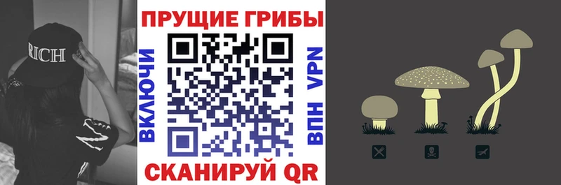 Галлюциногенные грибы Cubensis  МЕГА ссылка  Ковров 