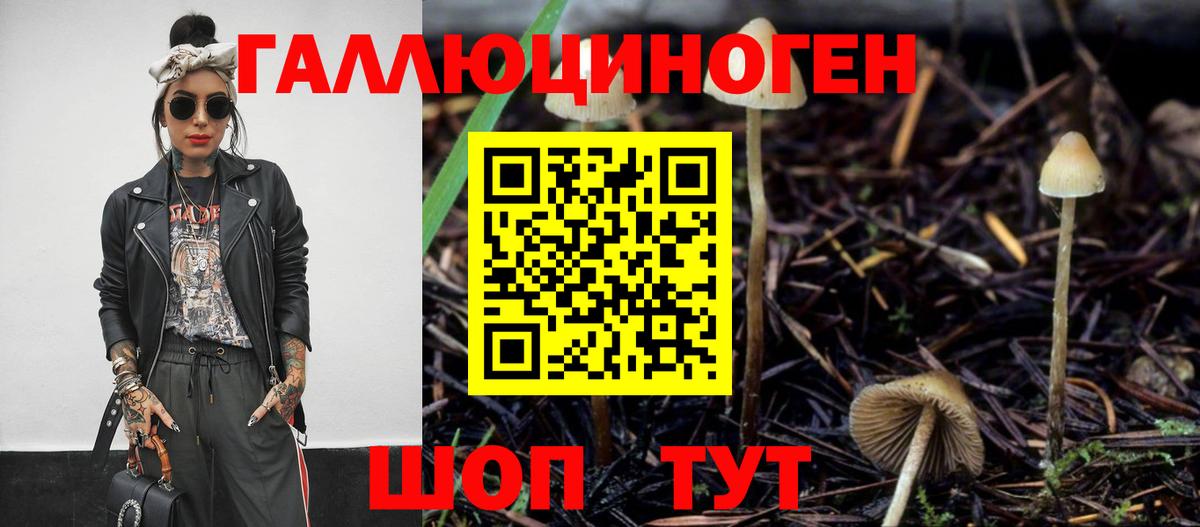 цены наркотик  Псилоцибиновые грибы Cubensis  Вход с VPN  Ковров 