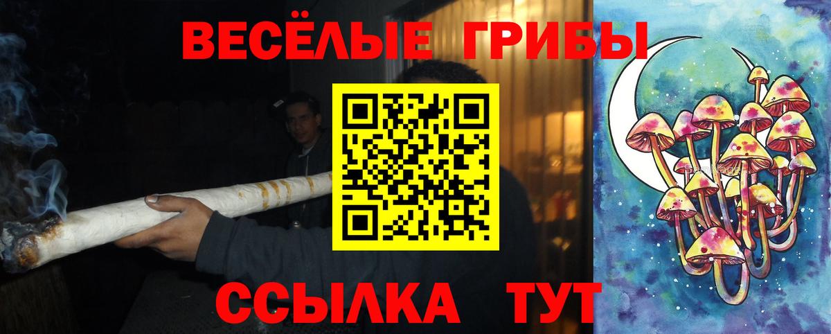 Галлюциногенные грибы Ковров